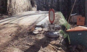 Mit OBEG bewehrte Steilböschung - 2 Monate nach Fertigstellung Steilböschung - 2 Monate nach Fertigstellung